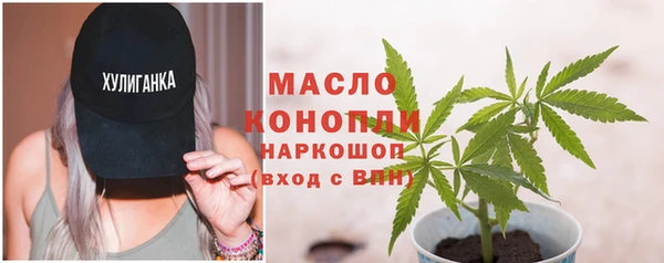 дживик Бородино
