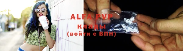 дживик Бородино