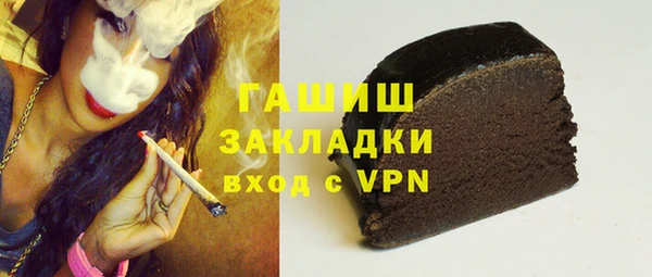 дживик Бородино